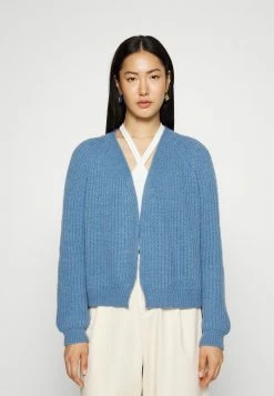 DRYKORN MANUMY - Cardigan - Blue